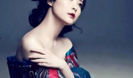 袁丽爆料赵薇视频大全集,独家大全集揭秘